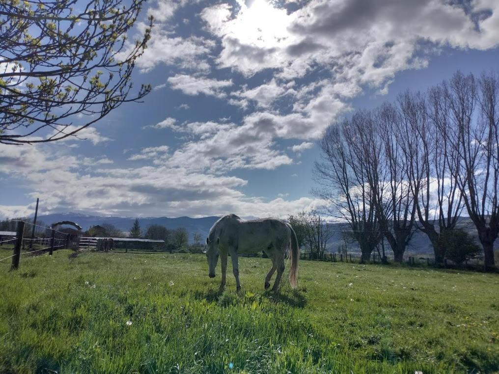 Ca L'Andreu Villa Ventola Kültér fotó