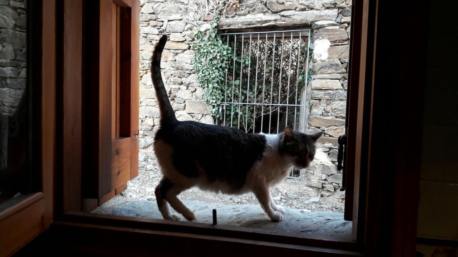 Ca L'Andreu Villa Ventola Kültér fotó